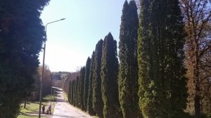 Кисловодский парк 15 октября 2023