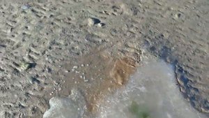 Обычный отлив,на Азовском море