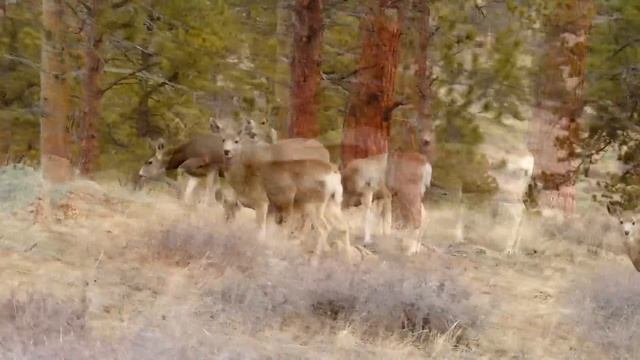 Destroy Unconscious Blockages and Negativity 396hz Solfeggio Binaural Beats