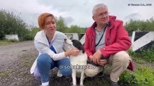 Альта уехала домой из приюта «Щербинка» спустя год поисков хозяев! Проект Собака Юзао