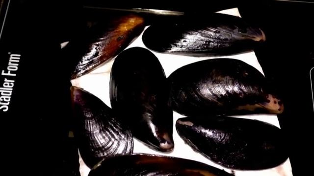 На Фестивале Уличной Еды купили Мидии, принесли домой А в них Загадки смотреть онлайн