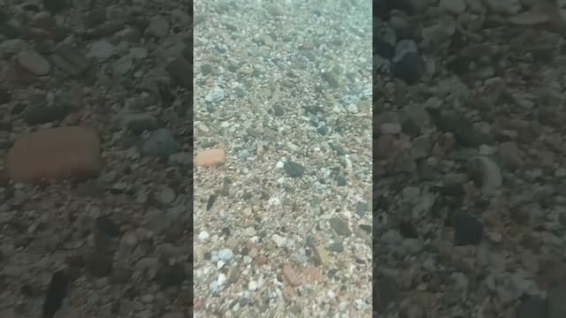 DOOGEE s99 probando la camara en el agua смотреть онлайн