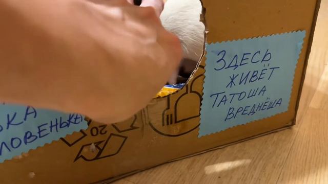 Мои любимые грызуны смотреть онлайн