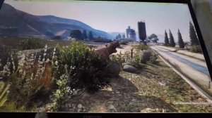 GTA 5 играем за корову или быка часть 2