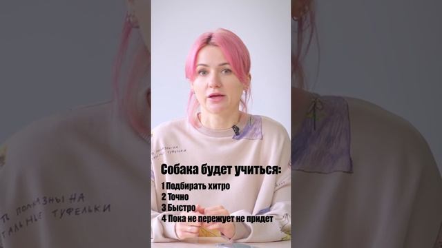 Собака поднимает мусор: что делать? Почему собака подбирает и убегает? #Shorts