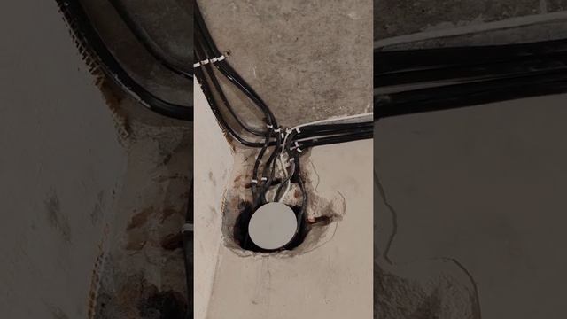 такої електрики у квартирі ви точно не бачили смотреть онлайн