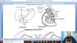 Anatomy GIT Module in English ( Duodenum , part 1  ) ,  by Wahdan