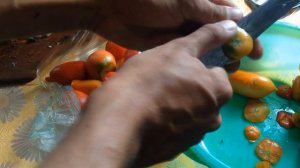 ПРЯНЫЕ ПОМИДОРЫ БЫСТРОГО ПОСОЛА С ЧЕСНОКОМ И УКРОПОМ