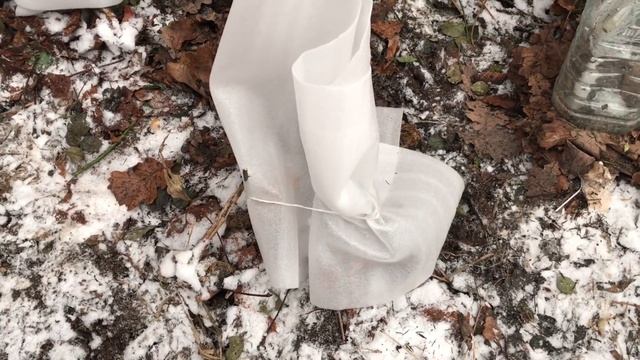 Самое простое укрытие для роз смотреть онлайн