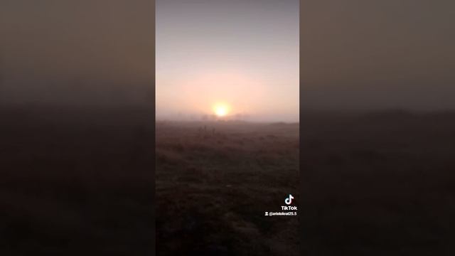 2024-01-30-191517632.mp4 смотреть онлайн