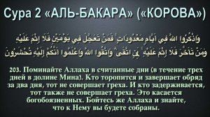 Джюз 2-ый - Идрис Абкар с переводом