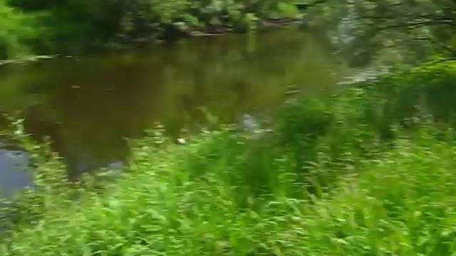 Dubna river swim смотреть онлайн