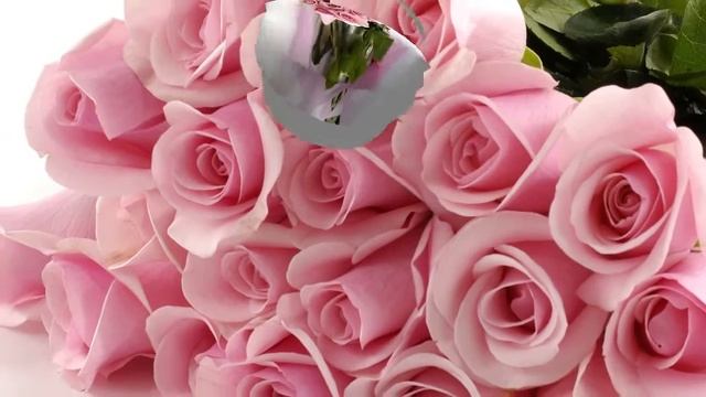 Розовые розы. Мне хочется поблагодарить... смотреть онлайн