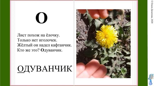 Цветущая азбука смотреть онлайн