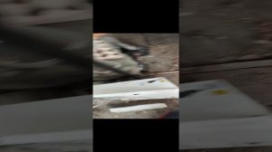 корм для кур своими руками