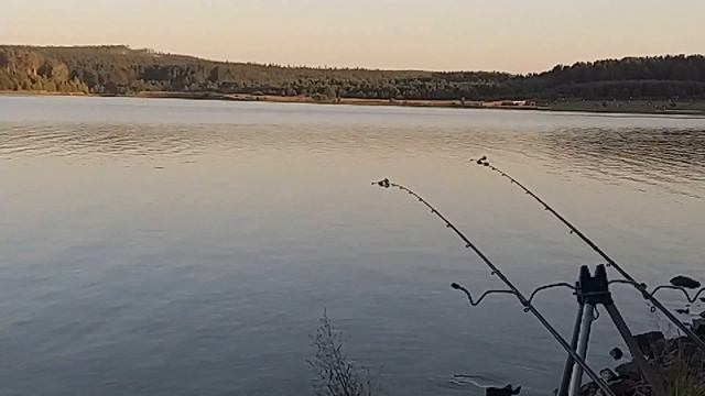 Волчихинское водохранилище. Третья серия. Мыс Петровича. 3-4 августа 2022.