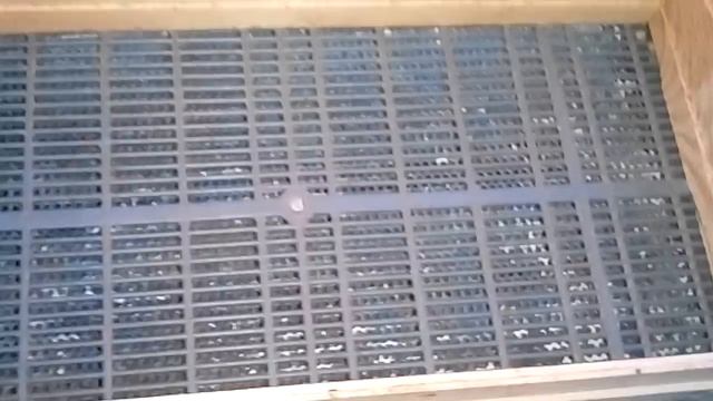 Приспособа для добычи перги смотреть онлайн