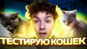 ПРОВОЖУ ЭКЗАМЕН ДЛЯ КОШЕК| Насколько умные мои кошки