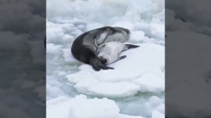 Отпуск в ноябре