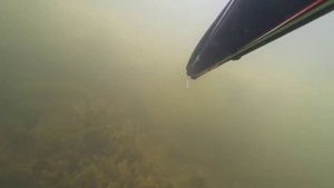 подводная охота в прозрачной воде. арбалет salvimar hero 75. веселовское водохранилище