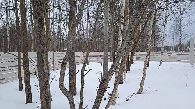 видео для террасы
