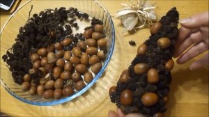 Елка из шишек и желудей своими руками. #diy. #handmade