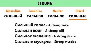 20 IMPORTANT Russian Adjectives You Want To Know // Russian Language Lesson