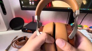 Sivga Robin SV021 птичка певчая