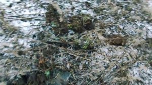 МЕТАЛЛОКОП ИДЁТ ПОЛНЫМ ХОДОМ! 1 Тонна с одного места! металокоп