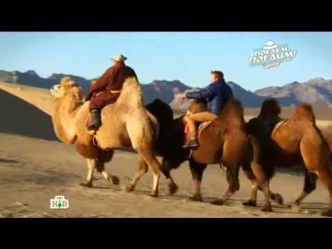 "Поедем, поедим!": Монголия