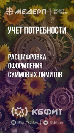 КБФИТ: МЕДЕРП. Учет потребности: Расшифровка оформления суммовых лимитов