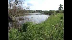 Рыбалка на майского жука  - РЫБНЫЕ МЕСТА!