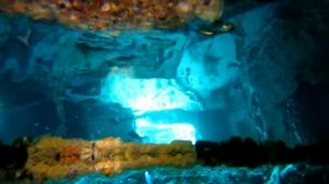 Шарм Тистлегорм