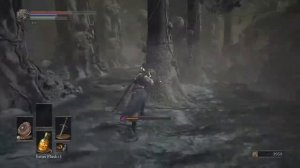 Dark Souls 3 Stream 12/29