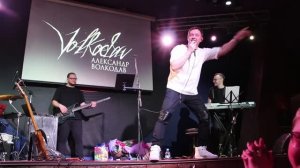 Александр Волкодав - Подари мне любовь (MF, 27.03.2023)