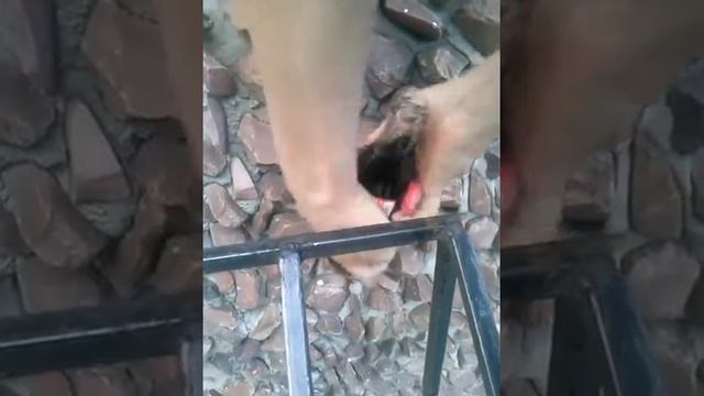 КАК ОТКРЫТЬ СТЕКЛЯННУЮ БАНКУ COCA COLA C Mr.ION смотреть онлайн