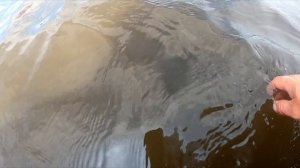 Лучшая рыбалка сезона. Иртыш 2021