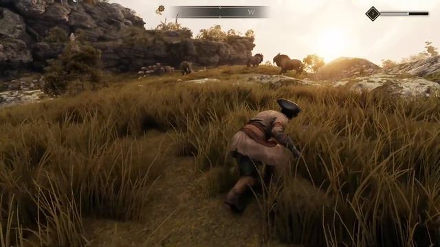 GreedFall - Прохождение 2