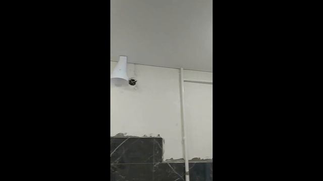 Натяжные потолки с нишей под карниз смотреть онлайн