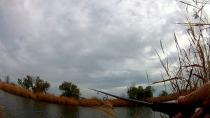 Поиск щуки на малом водоеме. Часть 3. Джиг. Keitech Easy Shiner. Как покажет себя топовый силикон?