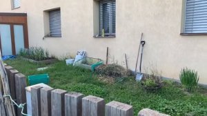 КАК ЖИВУТ БОГАТЫЕ ЧЕХИ. Прогулка по пригороду Праги