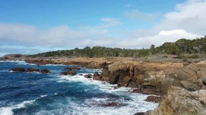 Explore the California coast