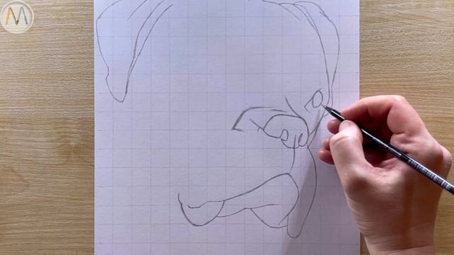 Как нарисовать собаку БОКСЕРА / Боксер собака портрет смотреть онлайн