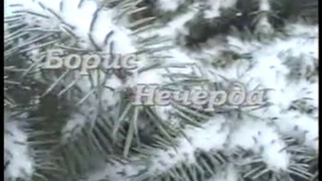 Зимняя сказка.