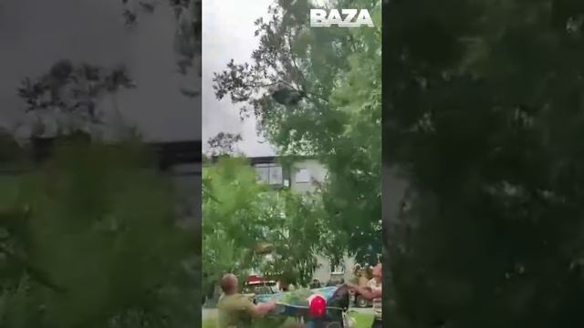 На Камчатке пришлось спасать медвежонка, который залез на дерево во дворе