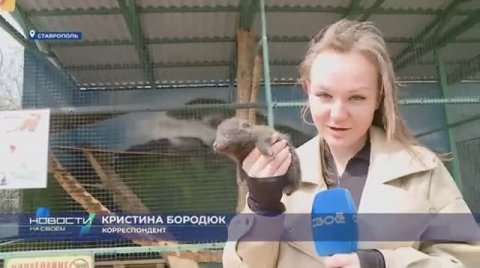 Новости на Своём от 12 Апреля 2024г. 13:30