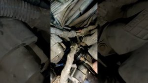 Почему Деу Сенс сам газует