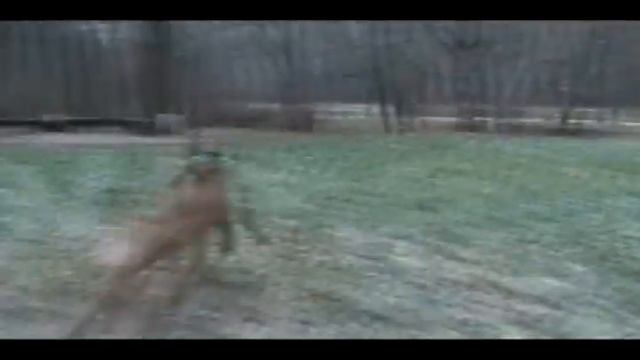 Танго смотреть онлайн