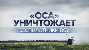 Боевая работа зенитного ракетного комплекса «Оса» — видео
