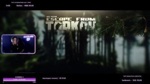 НАРЕЗКА КИЛЛОВ СО СТРИМА | DEALSTRONKA (Я ТОК УЧУСЬ) #escapefromtarkov  #лес #стримерша #рек #тарко